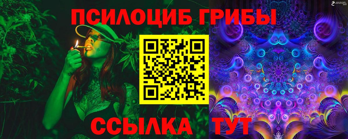Псилоцибиновые грибы GOLDEN TEACHER Чайковский